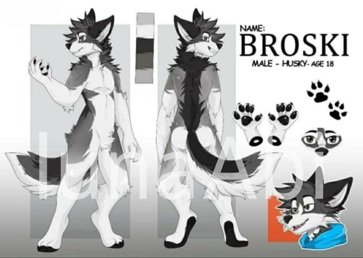 Furry RefrenceSheet